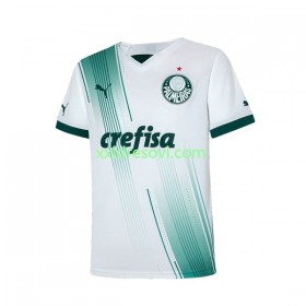 Palmeiras Gostujući Nogometni Dres 2023-2024